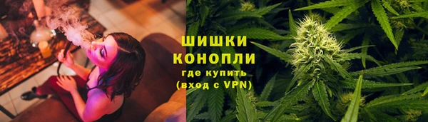 дурь Алзамай