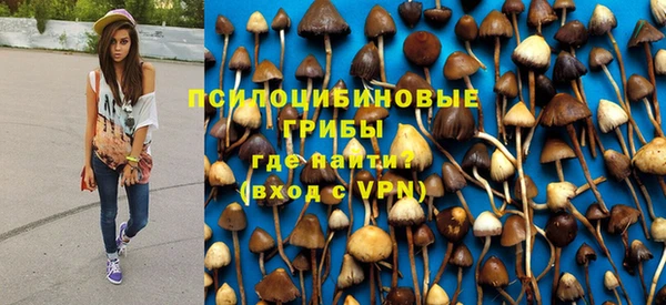соль курить ск Алексеевка