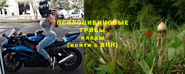 дурь Алзамай